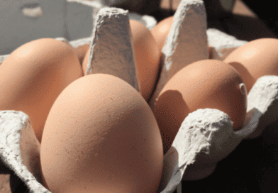 Troubleshooting Unhatched Chicken Eggs: Common Causes and Solutions
